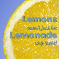 Lemons Mini-Journal PLR
