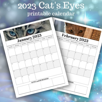 2023 Cat's Eyes Calendar